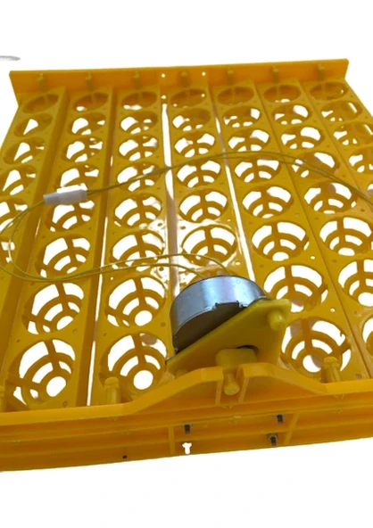 56 Tavuk Yumurtası Viyolü 1-240 Rpm Motor - Resim 2