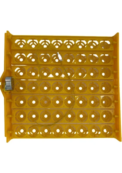 56 Tavuk Yumurtası Viyolü 1-240 Rpm Motor ürün görseli