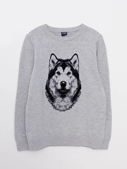 LCW Kids Bisiklet Yaka Desenli Uzun Kollu Erkek Triko Kazak