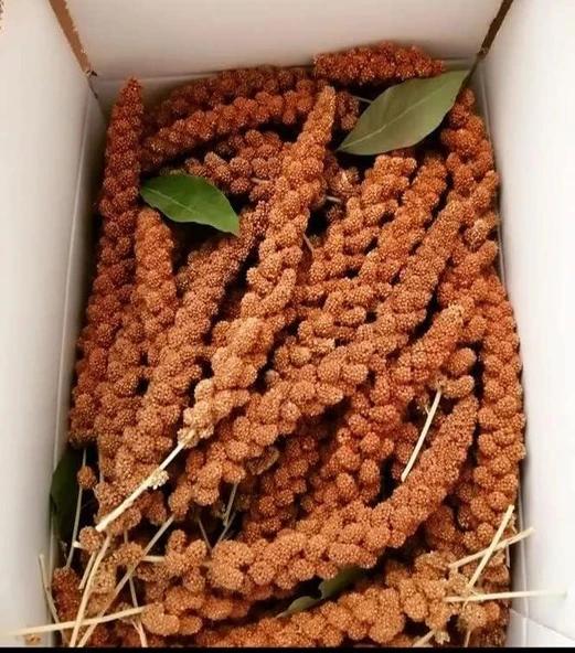 Kuşlar İçin Kızıl Dal Darı 150 gr - 2