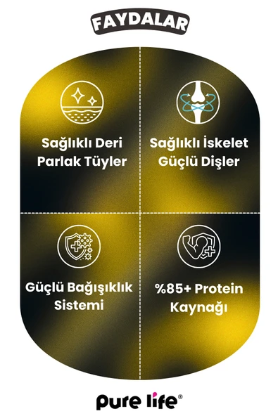 PURELİFE PLUS SOMONLU YAVRU KEDİ MAMASI 1.5KG - 3