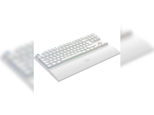 Monster Pusat Rapid Pro RGB TKL Red Switch Kablolu Mekanik Oyuncu Klavyesi - 2