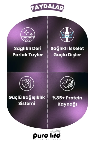 PURELİFE PLUS KEMİK ÖDÜL MAMASI KUZU ETLİ 80GR - 3