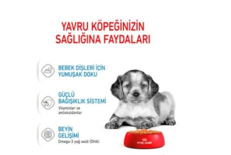 Royal Canin Medium Puppy Köpek Yaş Maması 140g - Resim 4