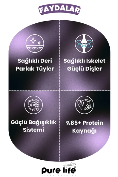 PURELİFE PLUS KUZU ETLİ KÖPEK ÖDÜL MAMASI 80GR - 3