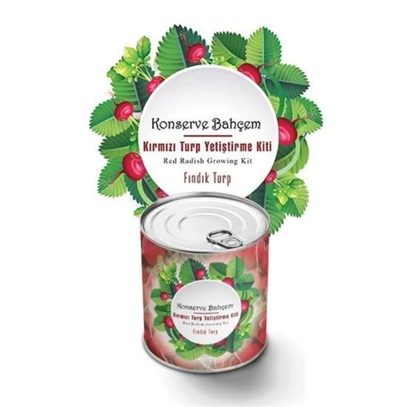 Buffer® Konserve Bahçem Evde Konservede Fındık Turp Yetiştirme Kiti ürün görseli