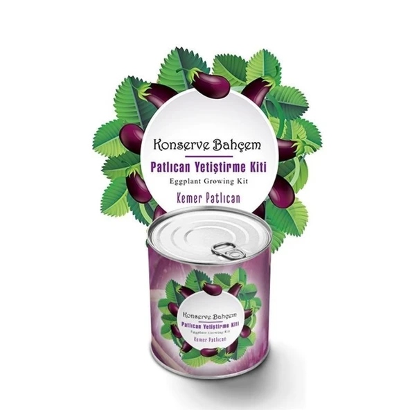 Buffer® Konserve Bahçem Evde Konservede  Kemer Patlıcanyetiştirme Kiti - Resim 2