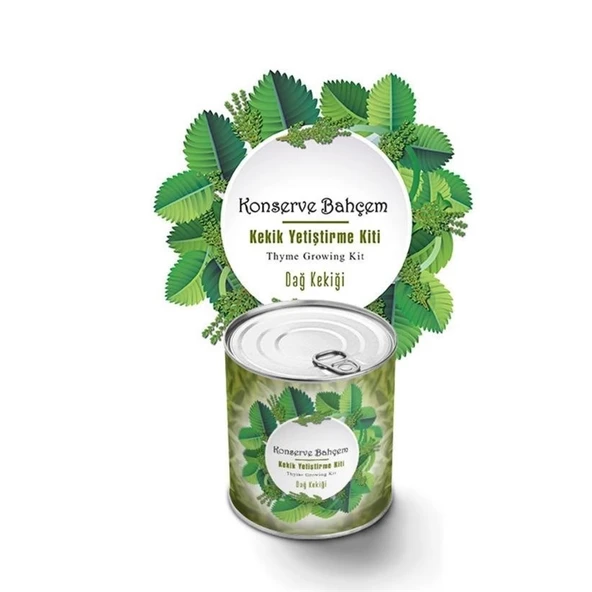 Buffer® Konserve Bahçem Evde Konservede Kekik Dağ Kekiği Yetiştirme Kiti - Resim 2