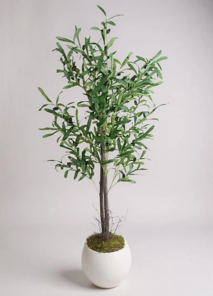 Yapay Zeytin Ağacı 130cm İki Gövdeli Beyaz Küre Saksıda Salex Doğal Gerçek Görünümlü Yapay Ağaç ürün görseli 1