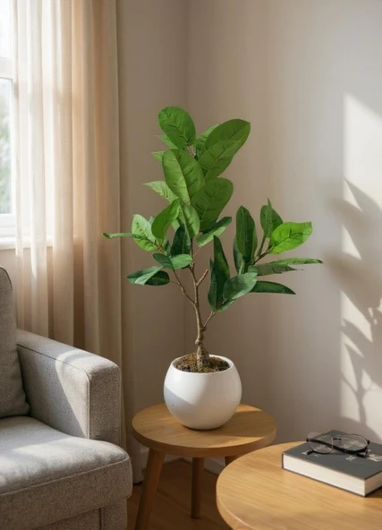 Yapay Ağacı Kauçuk Ağacı Beyaz Küre Saksıda 100*50cm - Resim 2