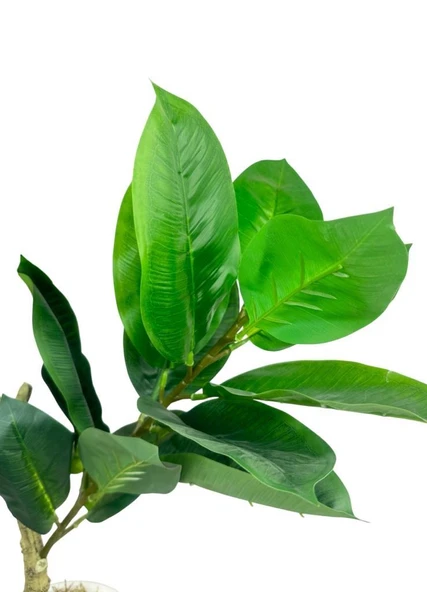 Yapay Ağacı Kauçuk Ağacı Beyaz Küre Saksıda 100*50cm - Resim 6