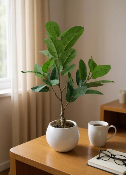 Yapay Ağacı Kauçuk Ağacı Beyaz Küre Saksıda 100*50cm - Resim 4