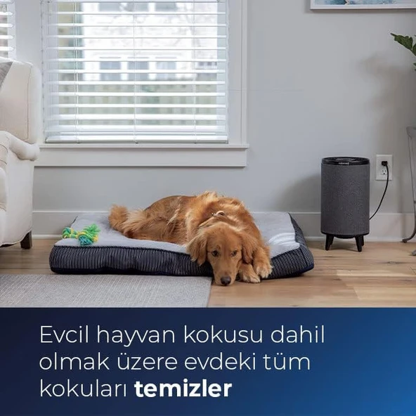 Bissell MyAir Hub  Hepa ve Karbon Filtreli Hava Temizleyici - Siyah - Resim 5