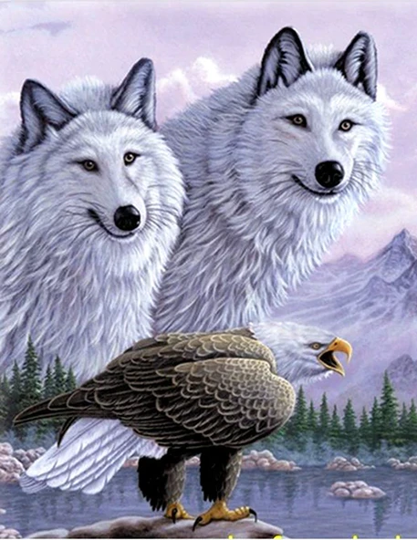 5D Elmas Boyama Kartallı Kurt Resmi Tablosu 40x60 cm - 1