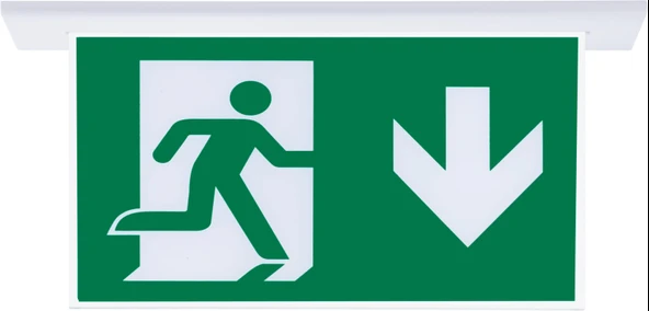 SG052-SA Çift Yönlü Acil Yönlendirme Armatürü (Sıvaaltı Aparatlı) Aşağı