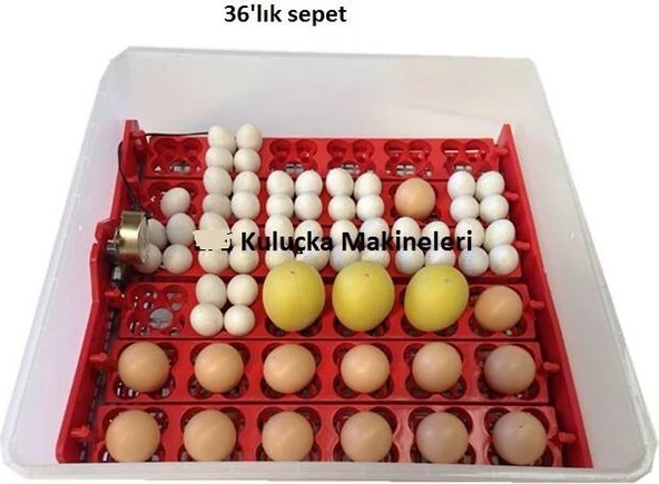 36 Multifonksiyonel Kuluçka Makinesi - 3
