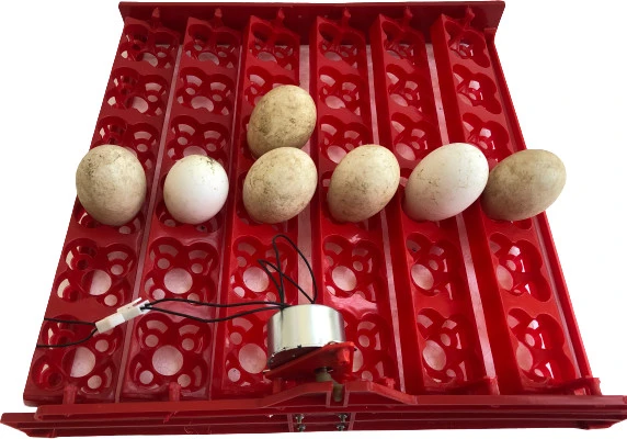 36 Multifonksiyonel Kuluçka Makinesi - 2