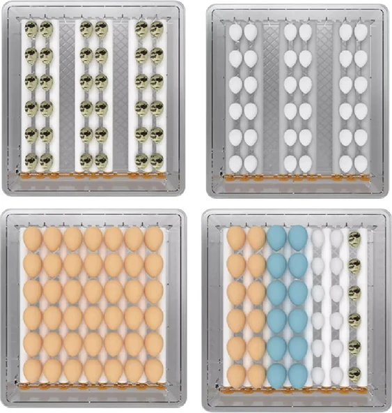 15 Tavuk Yumurta Kuluçka Makinesi - Resim 2