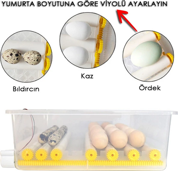 Kaz Yumurtası Uyumlu Kuluçka Makinesi - Resim 4
