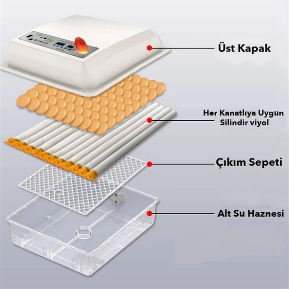 Kaz Yumurtası Uyumlu Kuluçka Makinesi - Resim 5