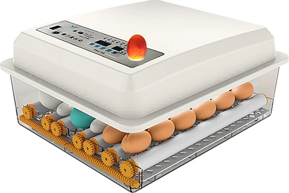 Kaz Yumurtası Uyumlu Kuluçka Makinesi - Resim 3