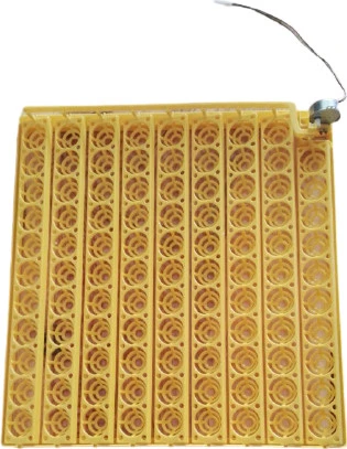 98'li Gelişim Viyolu 1/240 Rpm Motor 220 V - 1