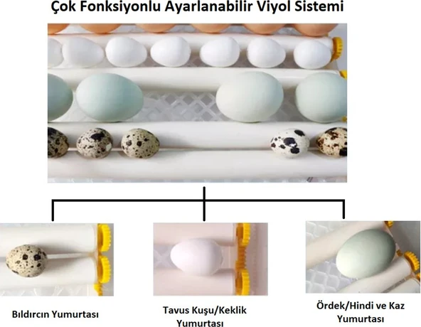 Kaz Yumurtası Uyumlu Kuluçka Makinesi - Resim 2