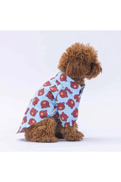 Pawstar Bear Kedi Köpek Gömleği - Kedi Köpek Kıyafeti - 3