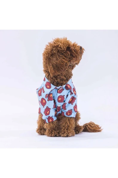 Pawstar Bear Kedi Köpek Gömleği - Kedi Köpek Kıyafeti - 2