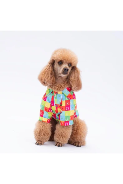 Pawstar Sarasota Kedi Köpek Gömleği - Kedi Köpek Kıyafeti - Resim 2