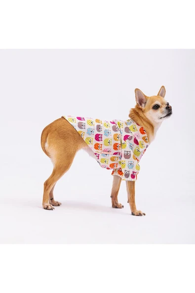 Pawstar Owls Kedi Köpek Gömleği - Kedi Köpek Kıyafeti - 2