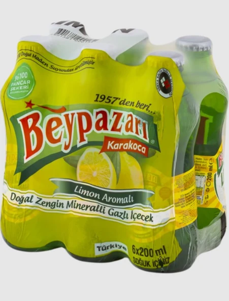Beypazarı Doğal Zengin Mineralli Gazlı İçecek 6X200 ml ürün görseli 1