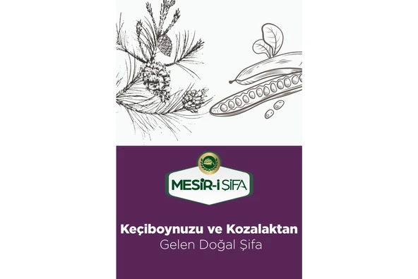 MESİR- İ ŞİFA ÇAM KOZALAK- KEÇİBOYNUZU ÖZÜ 350 GR - 5