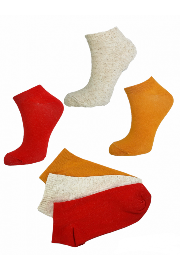 3 Çift  36-40 Kadın Pamuklu Renkli Patik Çorap BT-0314