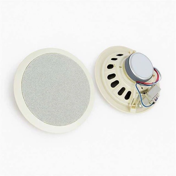 Dexun D-20T 100 Volt 20 CM Trafolu Alçıpan Hoparlör ürün görseli