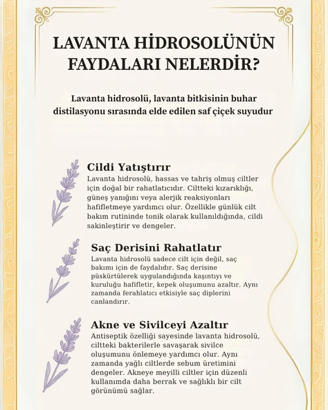 LaLoven Saf Lavanta İkilisi Lavanta Yağı ve Lavanta Hidrosolü - 5