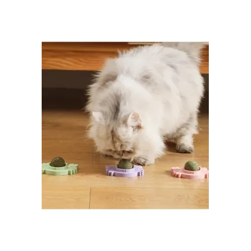 Yengeç Kedi Otu Oyun Topu - Resim 2