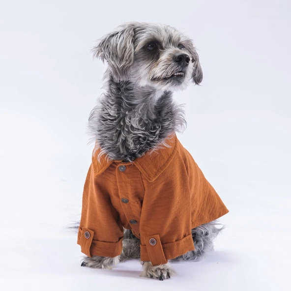 Pawstar Kahve Linen Look Kedi ve Küçük Irk Köpek Gömleği - 1