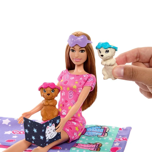 HXN01 Barbie ve Köpekçikleri Pijama Partisi - Resim 4