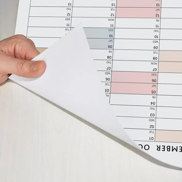 2026 Yıllık Planlayıcı Duvar Takvimi, Planlayıcı Takvim, Yatay Poster Planlayıcı Takvim - Resim 5