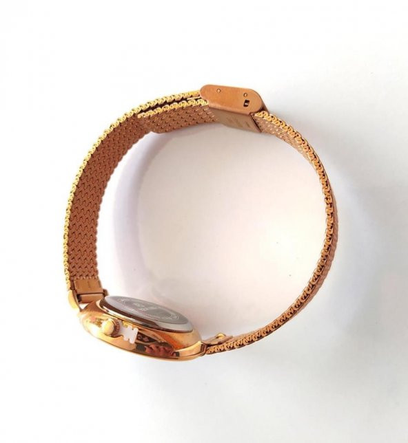 Reward RD63053L Kadın Hasır Çelik Kol Saati - 4