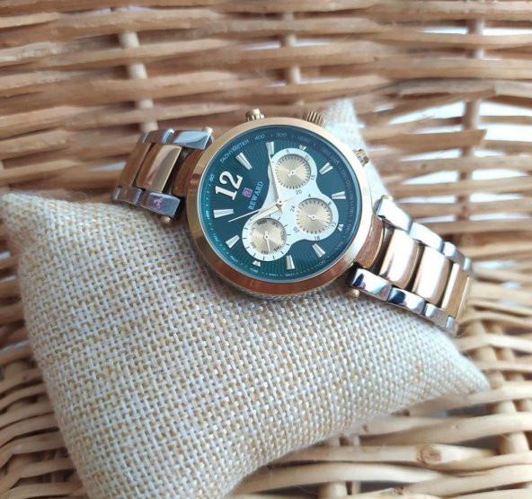 Reward RD63036L-01 Kadın Çelik Kol Saati - 2