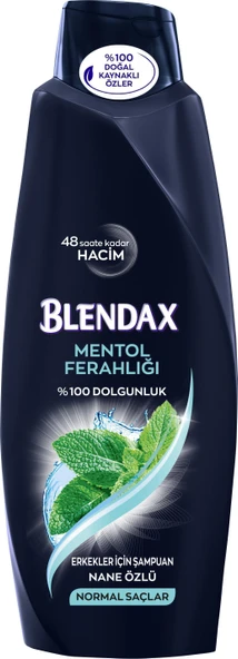 Blendax Şampuan Erkeklere Özel Menthol Ferahlığı 500 Ml ürün görseli 1