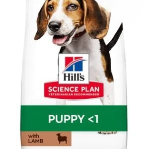 Hills Puppy Kuzu Etli Yavru Köpek Maması 14 KG - Orta Irklar İçin Sağlıklı Gelişim Desteği - 2