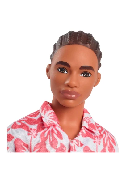 Barbie Yakışıklı Ken Bebekler DWK44 HYT99 - Resim 5