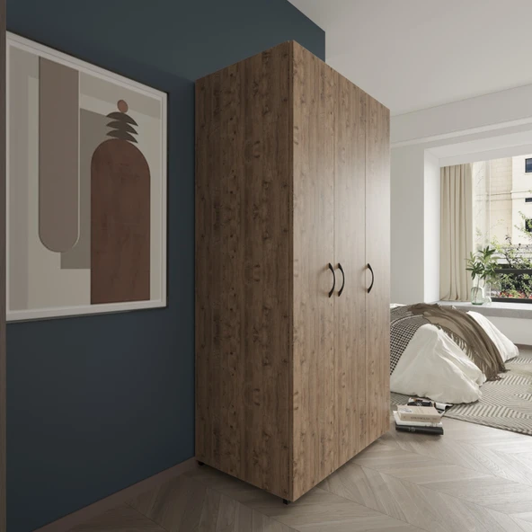 Ed Pet Dizayn Doruk 3 Kapaklı Çam Elbise Dolabı Çok Amaçlı Dolap 90 Cm genişlik - 3