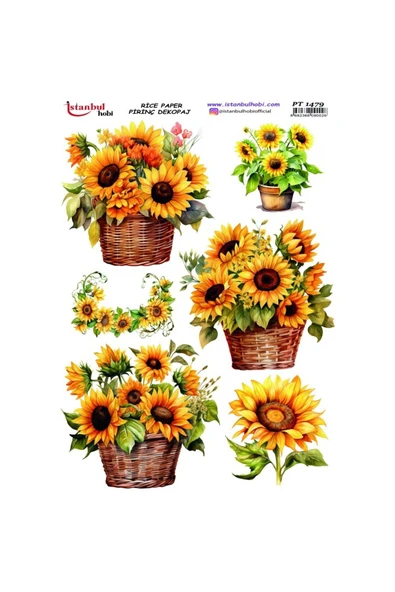 İSTANBUL HOBİ PİRİNÇ DEKOPAJ PT1479 ürün görseli