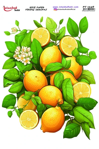 İSTANBUL HOBİ PİRİNÇ DEKOPAJ PT1548 ürün görseli