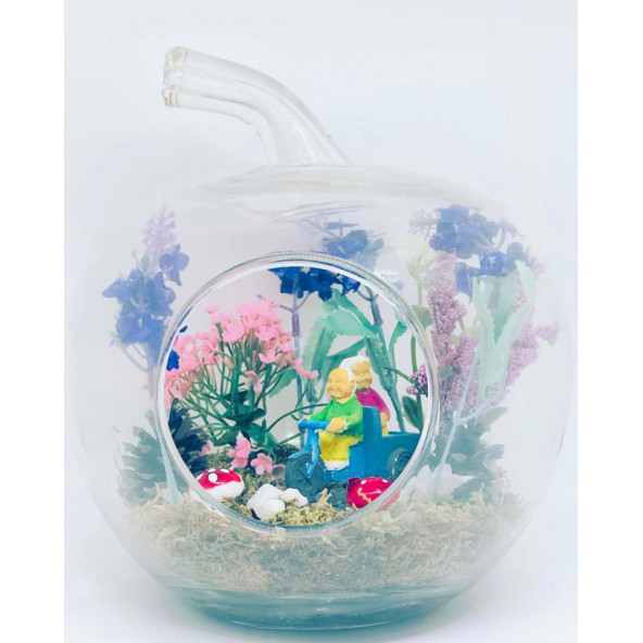 Minikkuş Tasarım Bir Ömür Teraryum ürün görseli