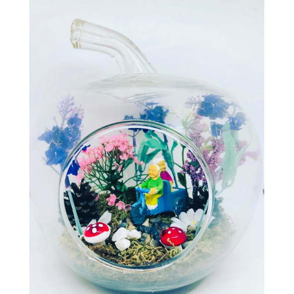 Minikkuş Tasarım Bir Ömür Teraryum - Resim 2